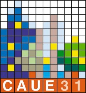 caue31logo