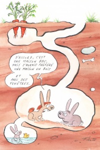 Copyright : François Cointe