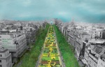 Nature-capitale