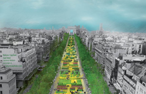 Nature-capitale