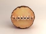 expobois_grume