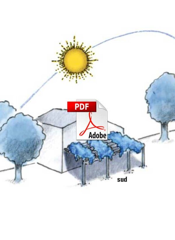 Confort d'été : inconfort et réconforts