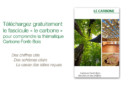 Fasicule carbone forêt bois
