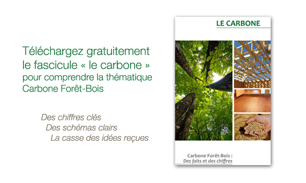 Fasicule carbone forêt bois