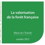 Potentiel de la forêt française